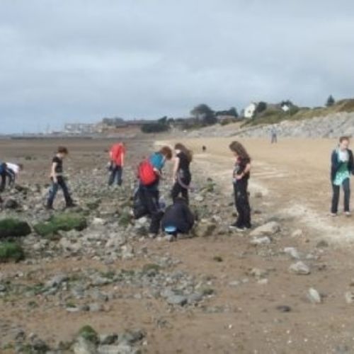 Year 8 Coastal Walk (31).jpg